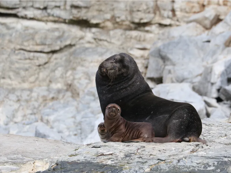Galería Turismo Isidora - Imagen 3