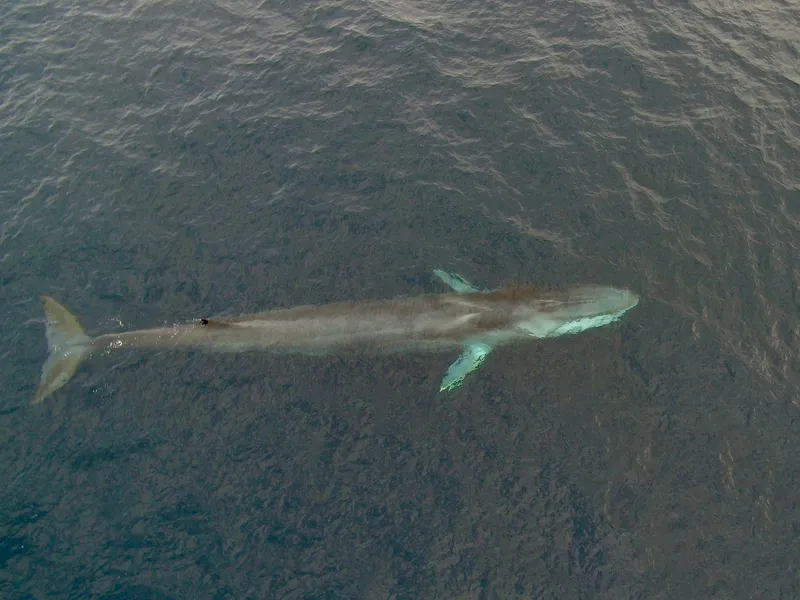 Galería Turismo Isidora - Imagen 6