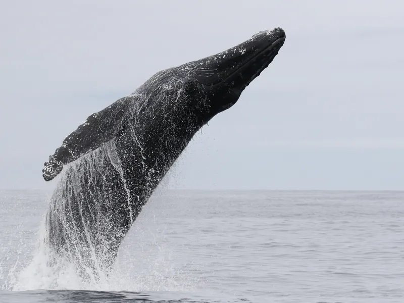 Galería Turismo Isidora - Imagen 9