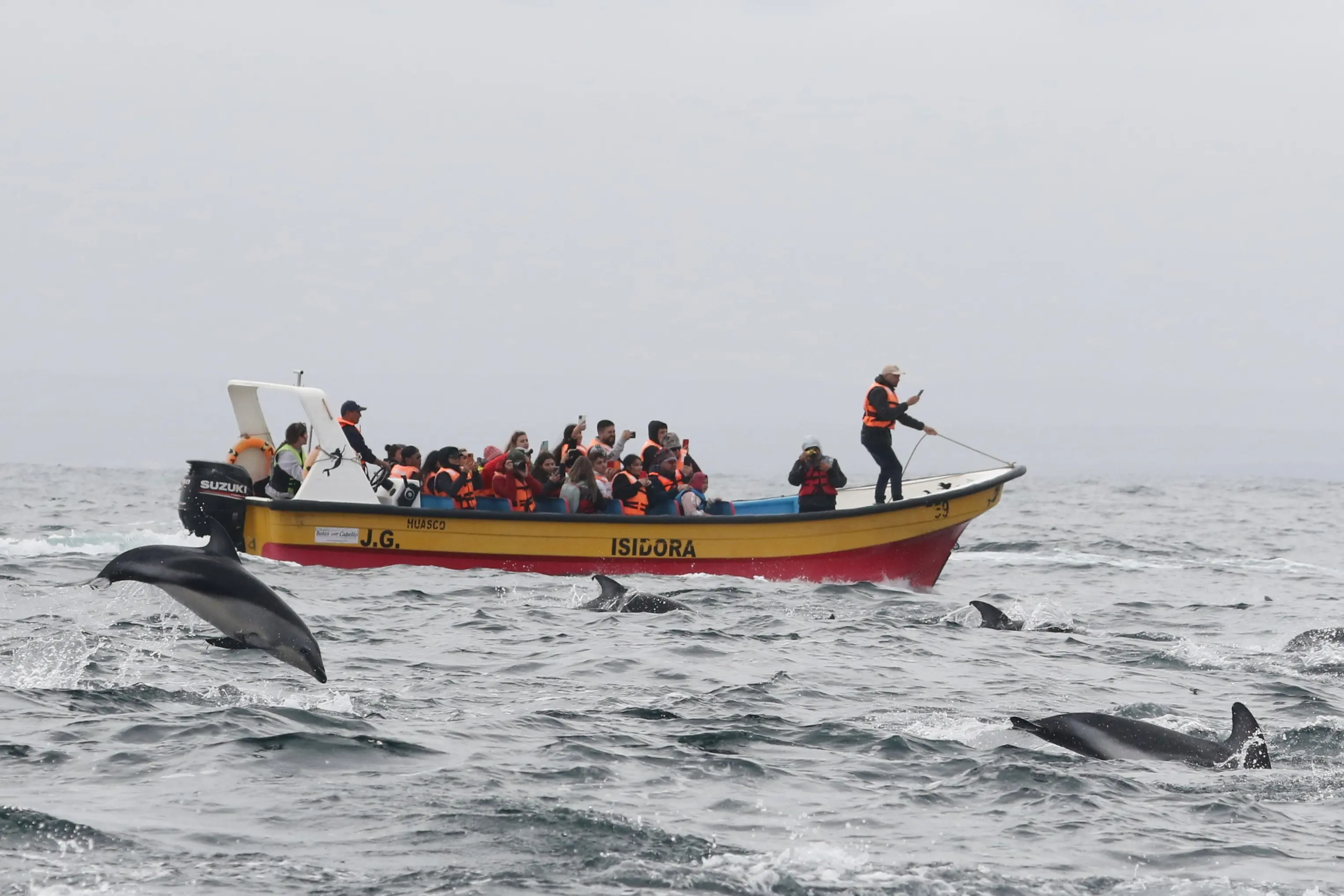 Bote Isidora con delfines